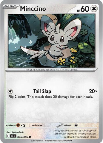 Minccino (075/086) [Scarlet & Violet: Black Bolt]