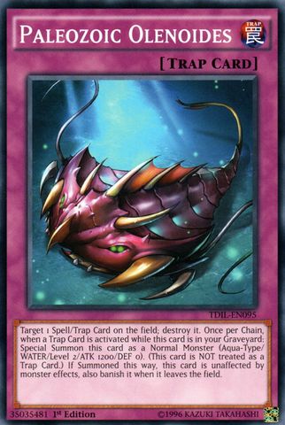Olenoides Paleozoicos [TDIL-EN095] Común 