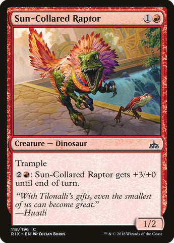 Raptor de collar solar [Rivales de Ixalan] 
