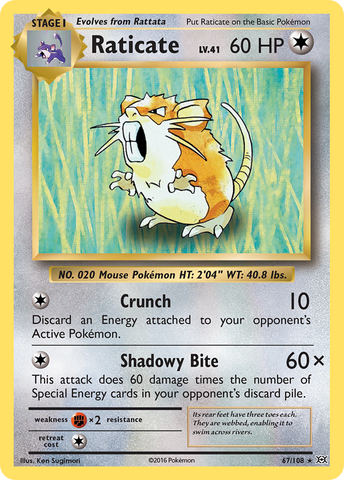 Raticar (67/108) [XY: Evoluciones] 