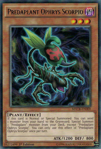 Predaplant Ophrys Escorpio [MACR-EN009] Raro 