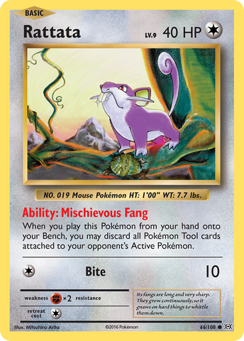 Rattata (66/108) [XY: Evoluciones] 