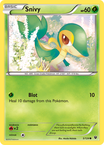 Snivy (5/124) [XY: Destinos en colisión] 