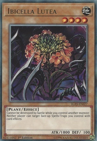 Ibicella Lutea [MP21-EN009] Común 