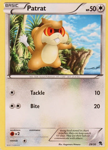 Patrat (29/30) [Blanco y negro: Kit de entrenador - Zoroark] 