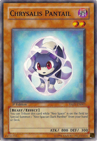 Pantail Crisálida [TAEV-EN007] Común 